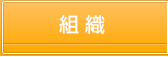 組織